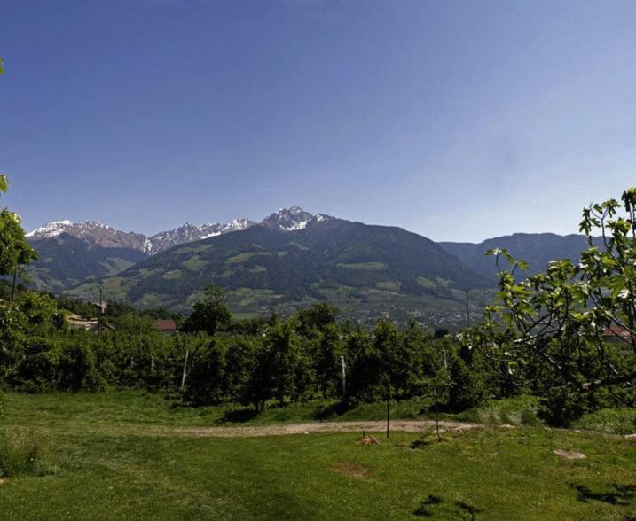 Residence Streitlhof Tirolo Exterior foto